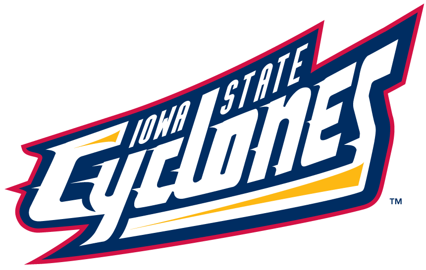 Iowa State Cyclones 1995-2007 Wordmark Logo iron on transfers for T-shirts
